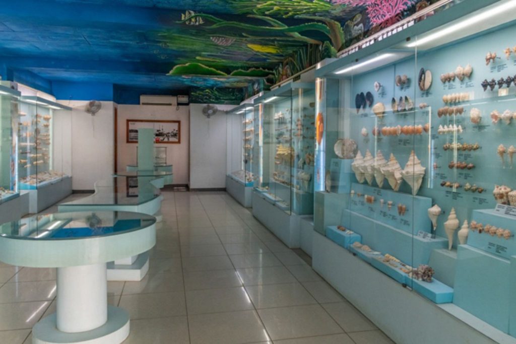 Indian Seashell Museum