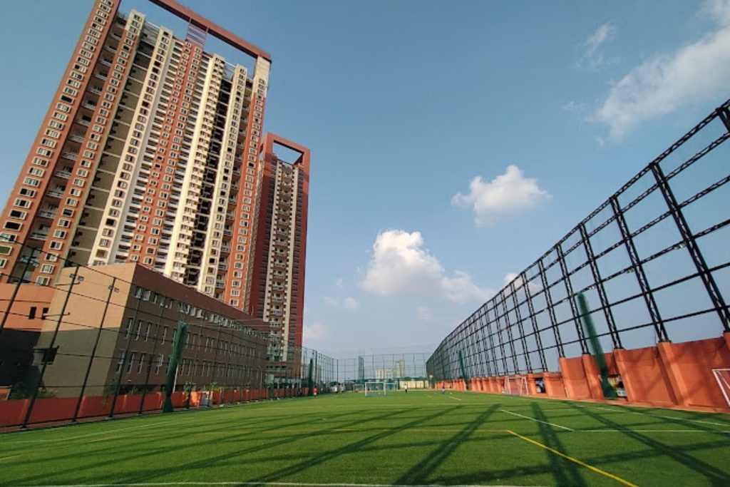 Cricket Turf 