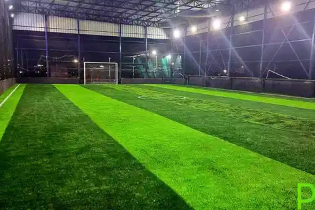 Cricket Turf Near me