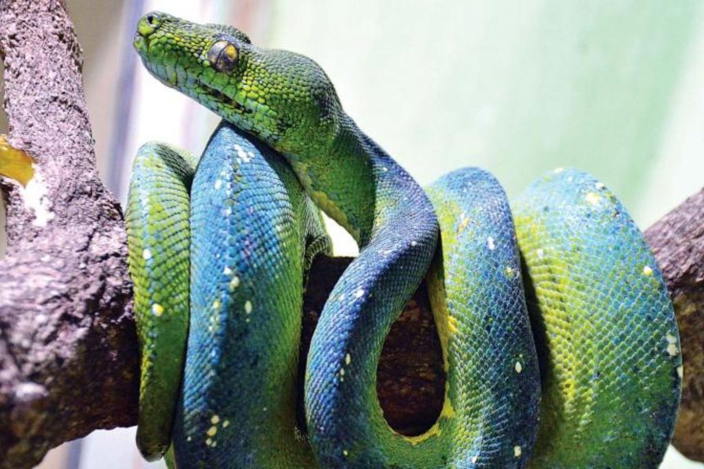 spots in chennai