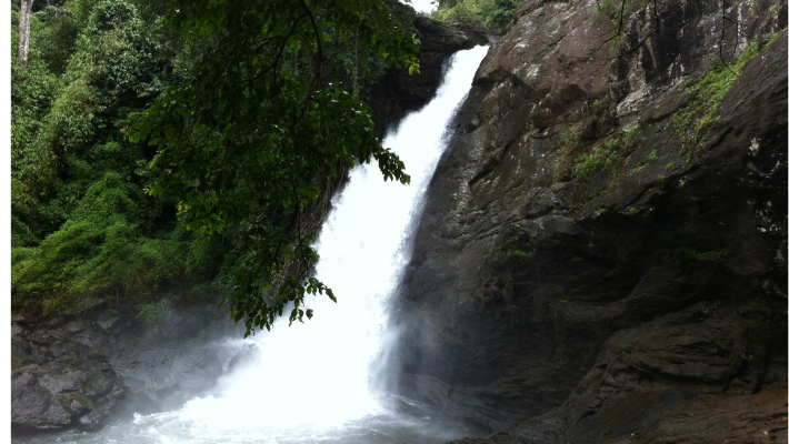 Soochipara Falls – The Biggest Waterfall in India