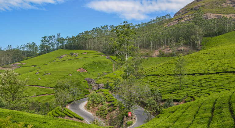 Munnar,Kerala Hill Stations in India