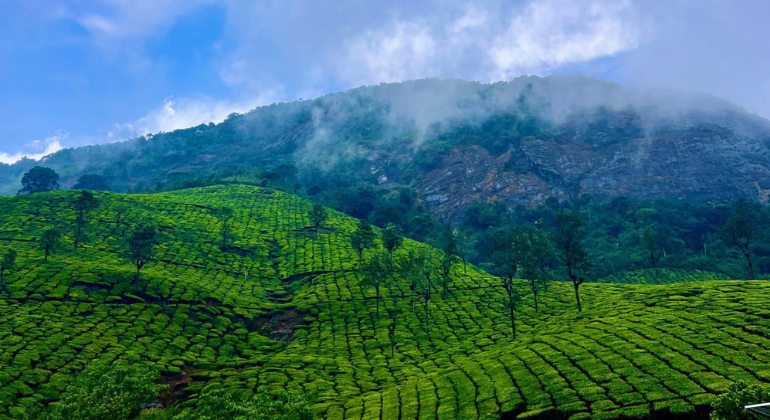  Valparai Hill,Tamil Nadu