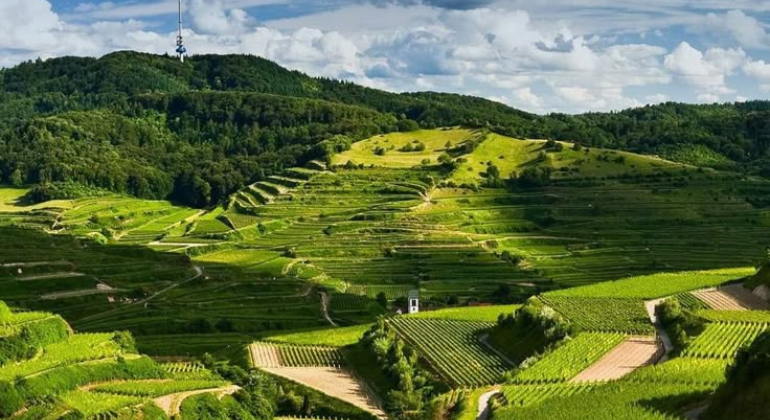 Coorg,Karnataka Hill Stations in India 