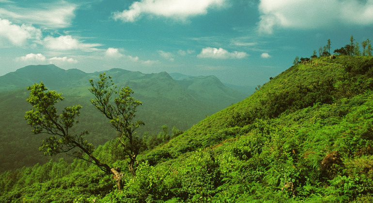 Agumbe Hill,Karnataka