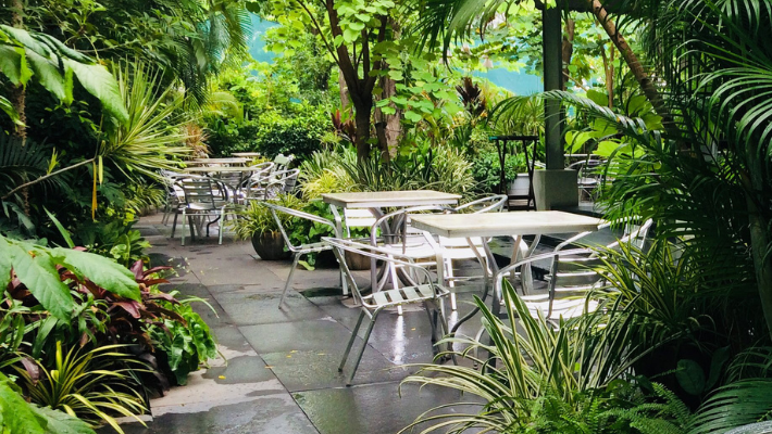  Wild Garden Cafe – Amethyst Boutique Extension