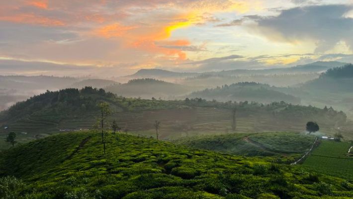 Ooty (Udhagamandalam)
